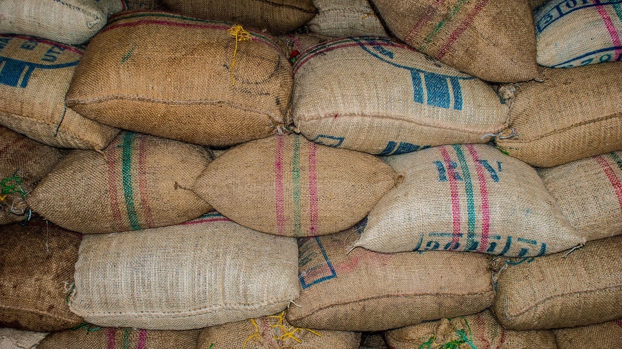 cacao nibs